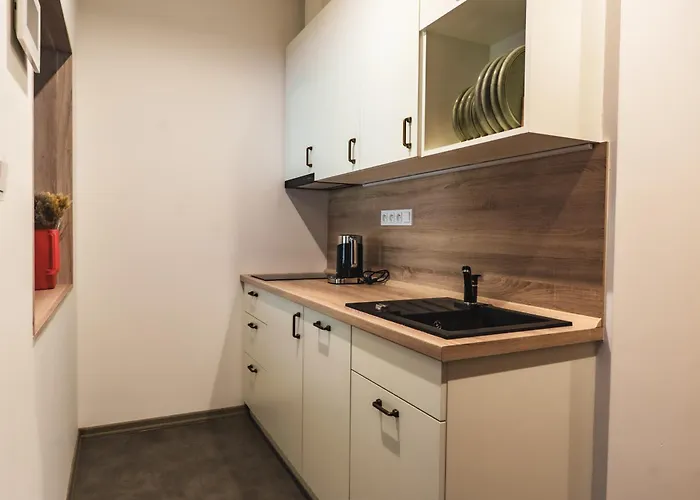 Luxusni Domovjanka - Medvedin Appartement *